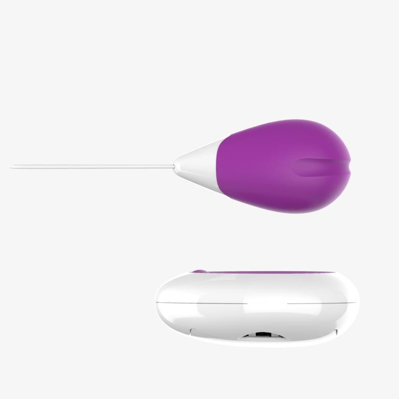 Vibrating Egg with Remote Control USB Purple