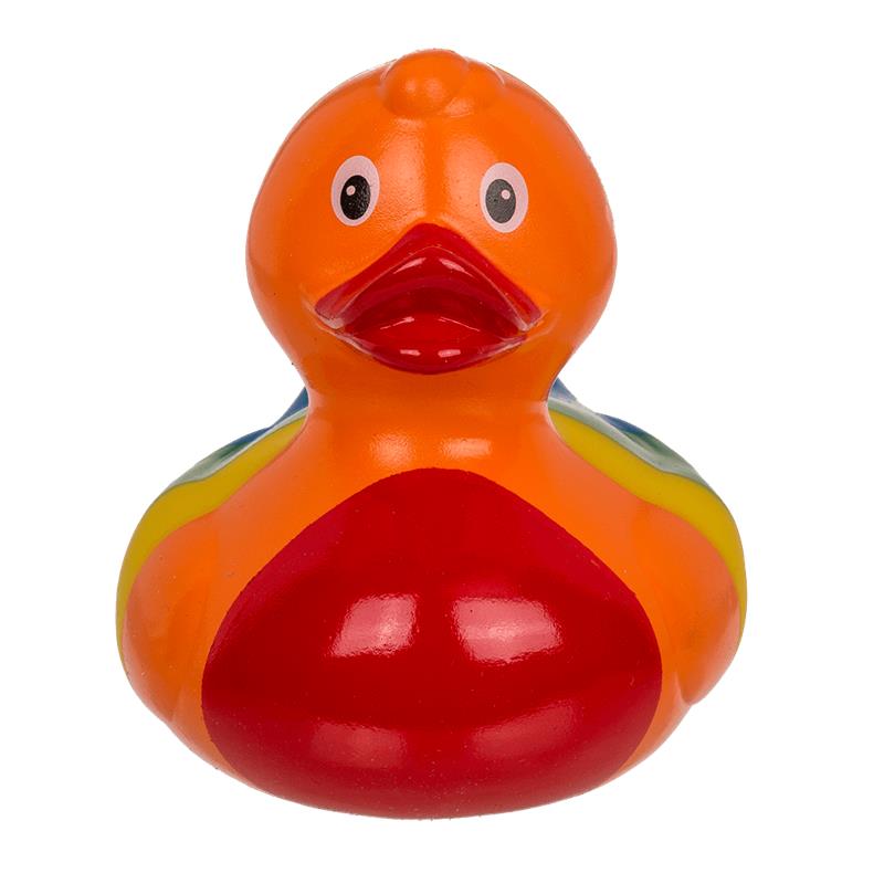 Rainbow Squeaking Duck