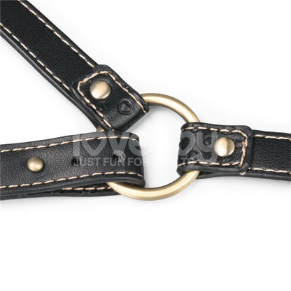 Rebellion Reign Full Body Harness