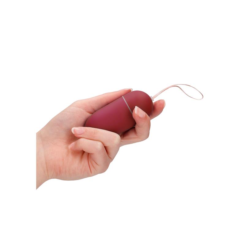 Vibrating Egg 10 Speed Red